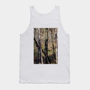 Trees Tall and Valley Tank Top